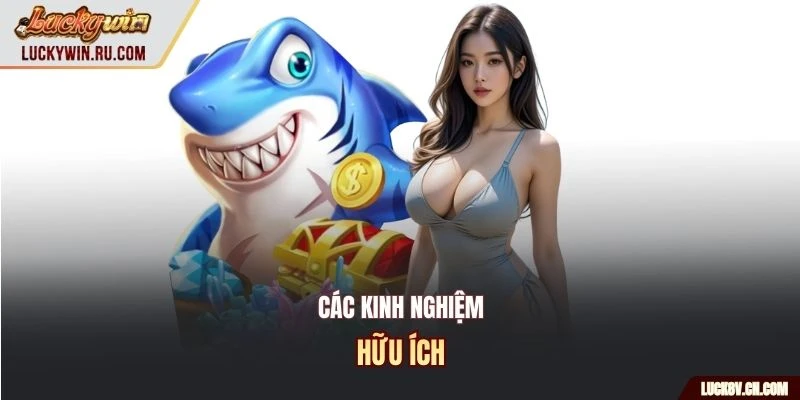 Các kinh nghiệm hữu ích