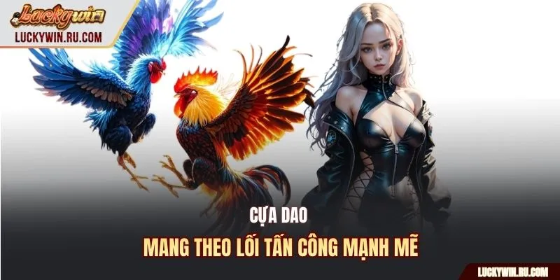 Cựa dao mang theo lối tấn công mạnh mẽ