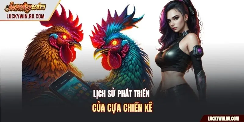 Lịch sử phát triển của cựa chiến kê