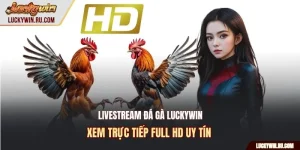 Livestream đá gà