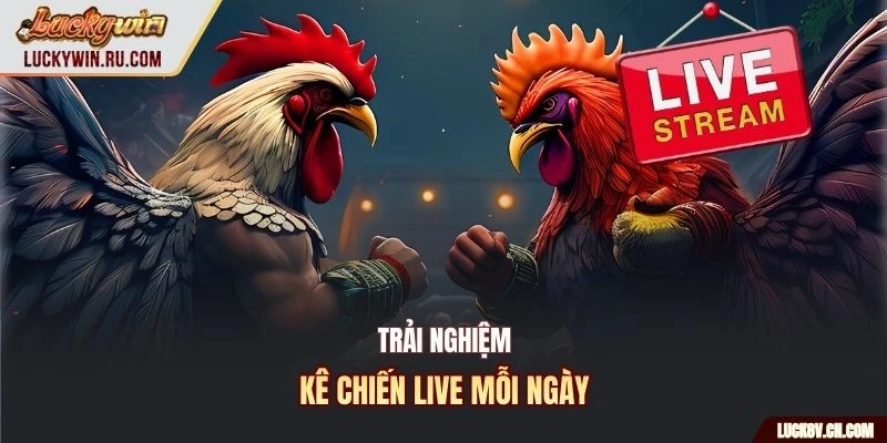 Trải nghiệm kê chiến live mỗi ngày